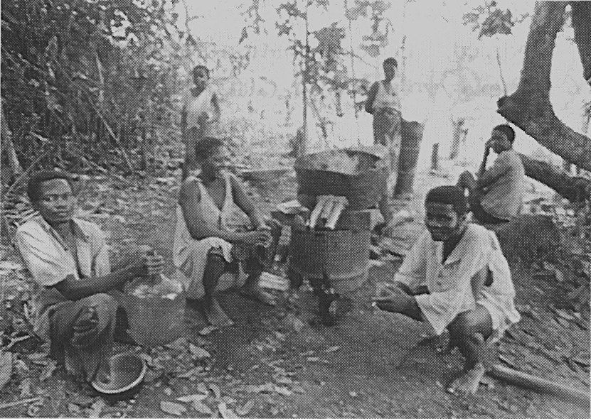 Distillation de la bière de riz-manioc brassée avecdes ferment amylolytiques 2. Ankei 1986, 36